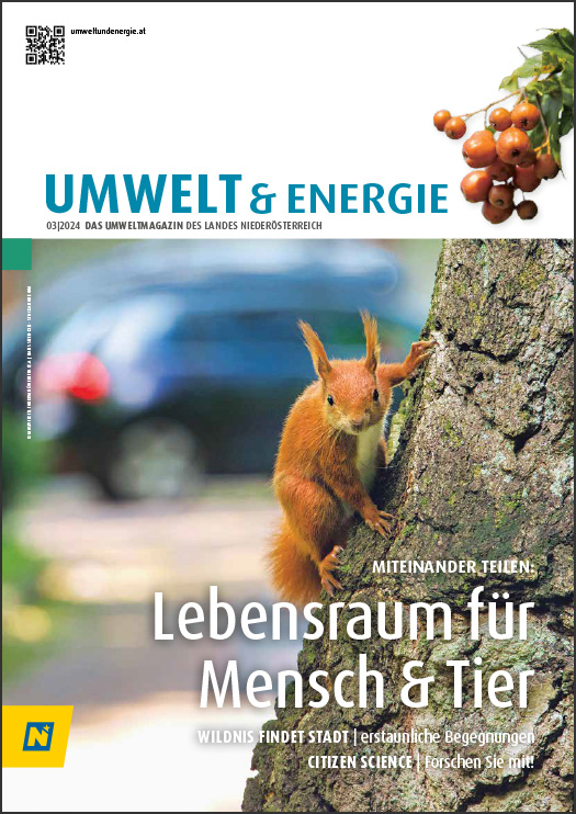 Cover UMWELT & energie 03/2024